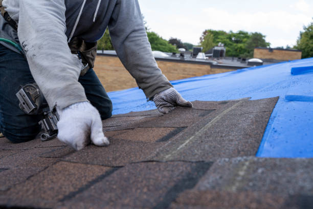 Best Roof Gutter Cleaning  in Fairchild Af, WA